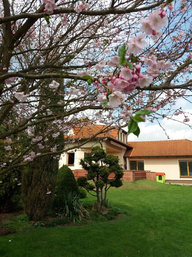 Villa Holiday Karlovy Vary Exterior photo